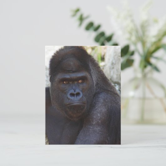 Gorilla Postkarte (Stehend Vorderseite)