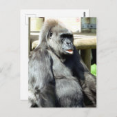 GORILLA POSTKARTE (Vorne/Hinten)