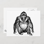 Gorilla Postkarte (Vorne/Hinten)
