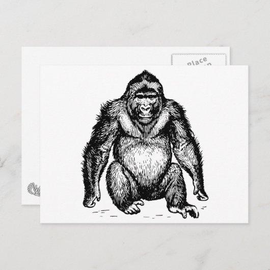 Gorilla Postkarte (Vorne/Hinten)