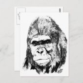 Gorilla Postkarte (Vorne/Hinten)