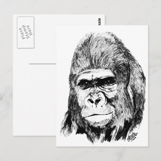 Gorilla Postkarte (Vorne/Hinten)