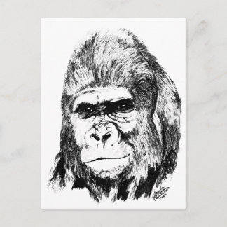 Gorilla Postkarte