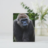 Gorilla Postkarte (Stehend Vorderseite)