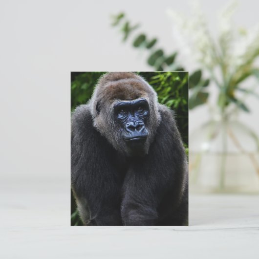Gorilla Postkarte (Stehend Vorderseite)