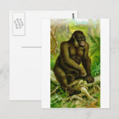Gorilla Postkarte (Vorne/Hinten)