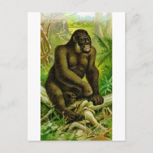 Gorilla Postkarte (Vorderseite)