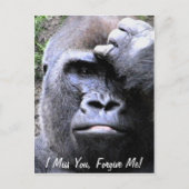 Gorilla_ Postkarte (Vorderseite)