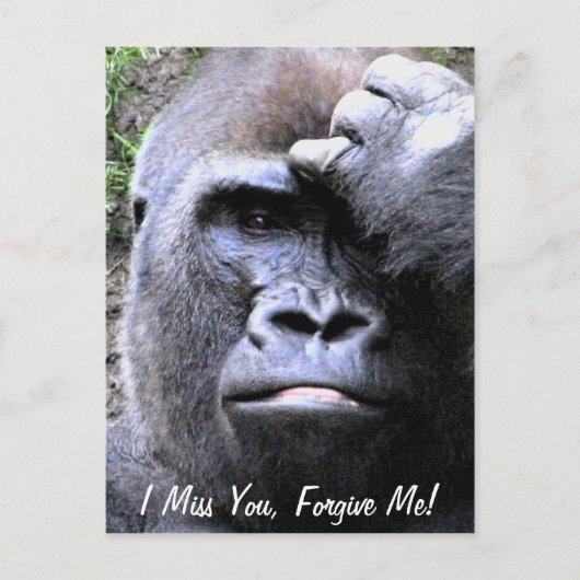 Gorilla_ Postkarte (Vorderseite)