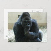Gorilla Postkarte (Vorne/Hinten)