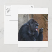 Gorilla Postkarte (Vorne/Hinten)
