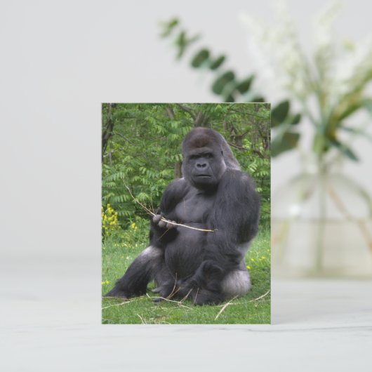 Gorilla Postkarte (Stehend Vorderseite)