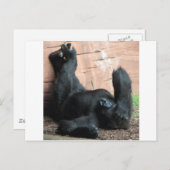 GORILLA POSTKARTE (Vorne/Hinten)
