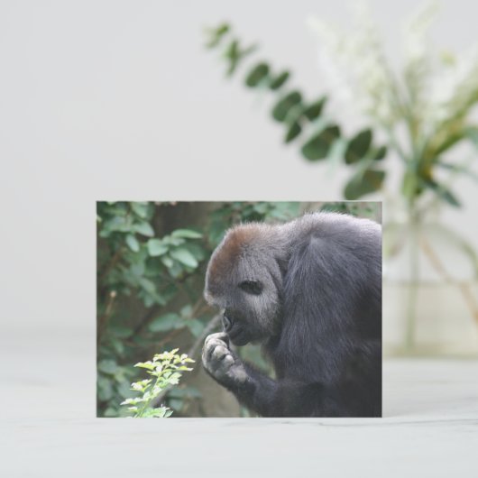 Gorilla-Postkarte Postkarte (Stehend Vorderseite)