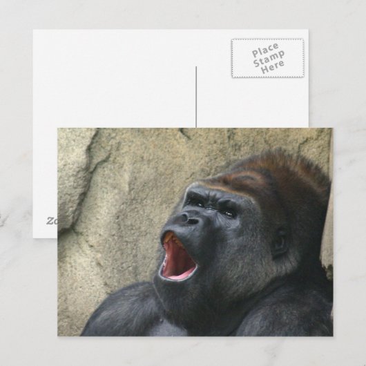 Gorilla-Postkarte singen Postkarte (Vorne/Hinten)
