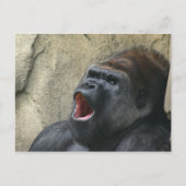 Gorilla-Postkarte singen Postkarte (Vorderseite)