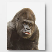 Gorilla Pout Fotoplatte (Vorderseite)