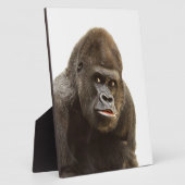 Gorilla Pout Fotoplatte (Seite)