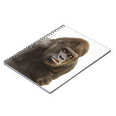 Gorilla Pout Notizblock (Linke Seite)