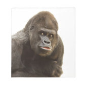Gorilla Pout Notizblock (Vorderseite)