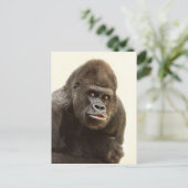 Gorilla Pout Postkarte (Stehend Vorderseite)