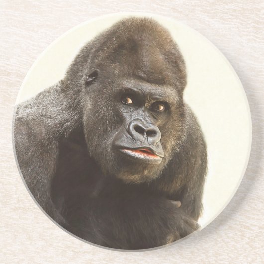 Gorilla Pout Sandstein Untersetzer (Vorne)