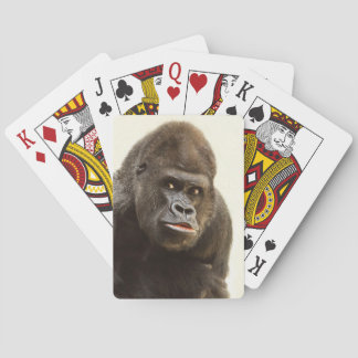 Gorilla Pout Spielkarten