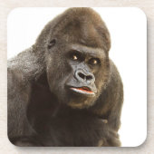 Gorilla Pout Untersetzer (Vorderseite)