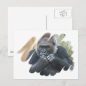 Gorilla Primat Postcard Postkarte (Vorne/Hinten)