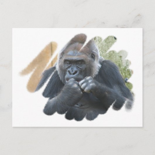 Gorilla Primat Postcard Postkarte (Vorderseite)