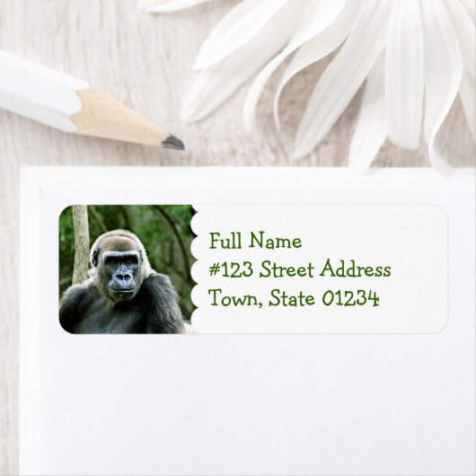 Gorilla Profil Rücksendeadresse (Insitu)