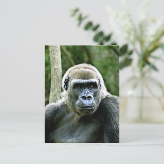 Gorilla Profile Postcard Postkarte (Stehend Vorderseite)