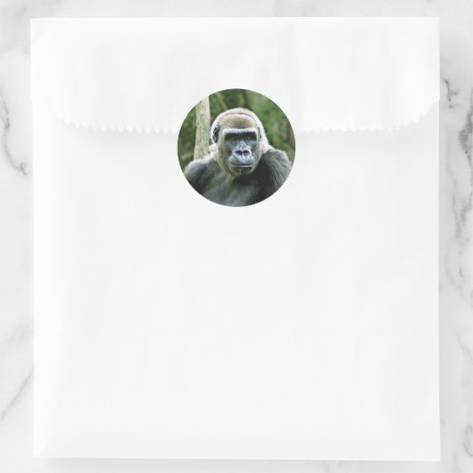 Gorilla Profile Stickers (Tasche)