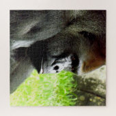 Gorilla-Puzzle Puzzle (Horizontal)