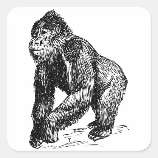 Gorilla Quadratischer Aufkleber (Vorderseite)