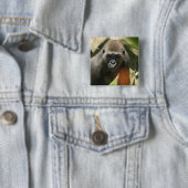 Gorilla-quadratischer Knopf Button (Beispiel)
