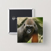 Gorilla-quadratischer Knopf Button (Vorne & Hinten)