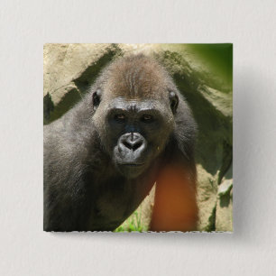 Gorilla-quadratischer Knopf Button