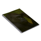 Gorilla Reflection - Ein durchdachtes Tierportrait Notizblock (Rechte Seite)