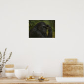 Gorilla Reflection - Ein durchdachtes Tierportrait Poster (Küche)