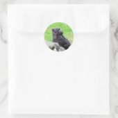 Gorilla Relaxing Sticker (Tasche)