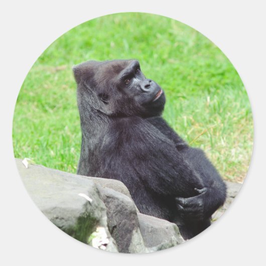 Gorilla Relaxing Sticker (Vorderseite)