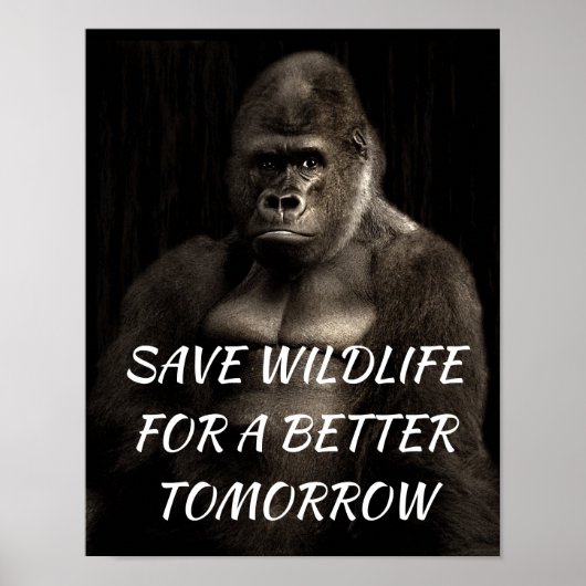 Gorilla, Rett Wildlife für eine bessere Zukunft Poster (Vorne)