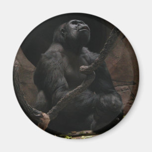 Gorilla-/Round-Magnet Magnet