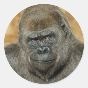 Gorilla Runder Aufkleber