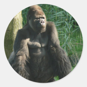 Gorilla Runder Aufkleber