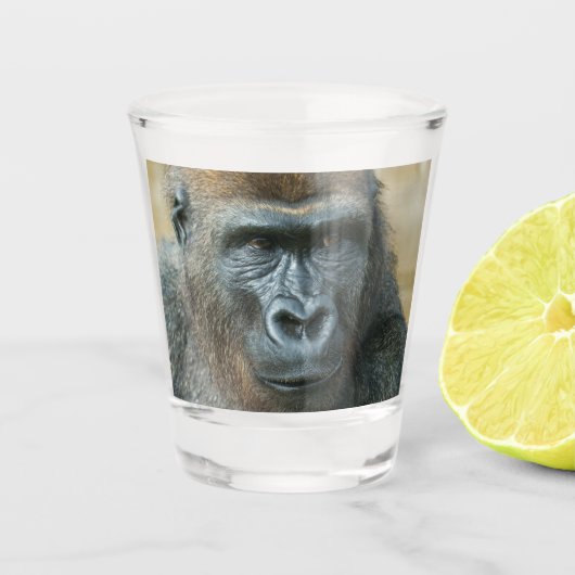 Gorilla Schnapsglas (Vorderseite)