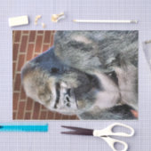 GORILLA SEIDENPAPIER (Handwerk)