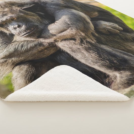 Gorilla Sherpadecke (3/4)