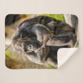 Gorilla Sherpadecke (Vorderseite (Horizontal))